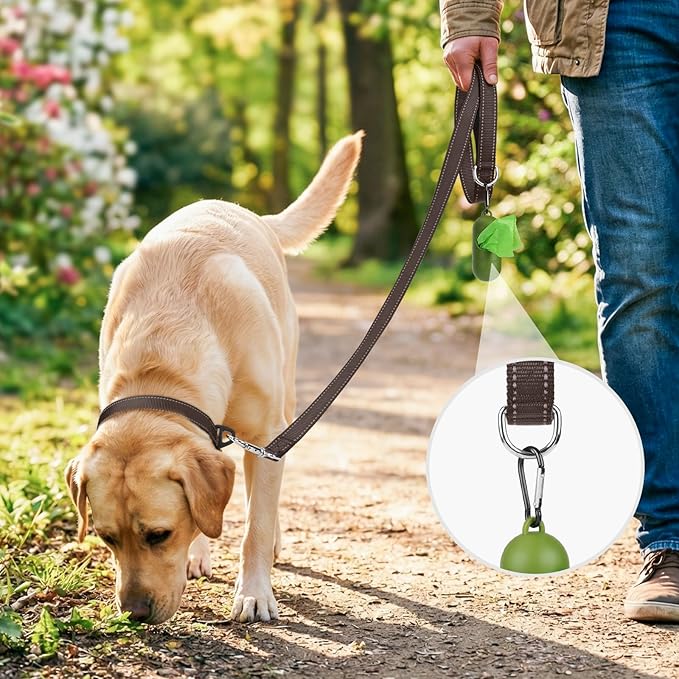 Joytale Double-Sided Reflective Dog Leash, 6 FT/5 FT/4 FT, Padded Handle Nylon Heavy Duty Leashes for Medium & Large Dogs Walking, Brown, 5FT