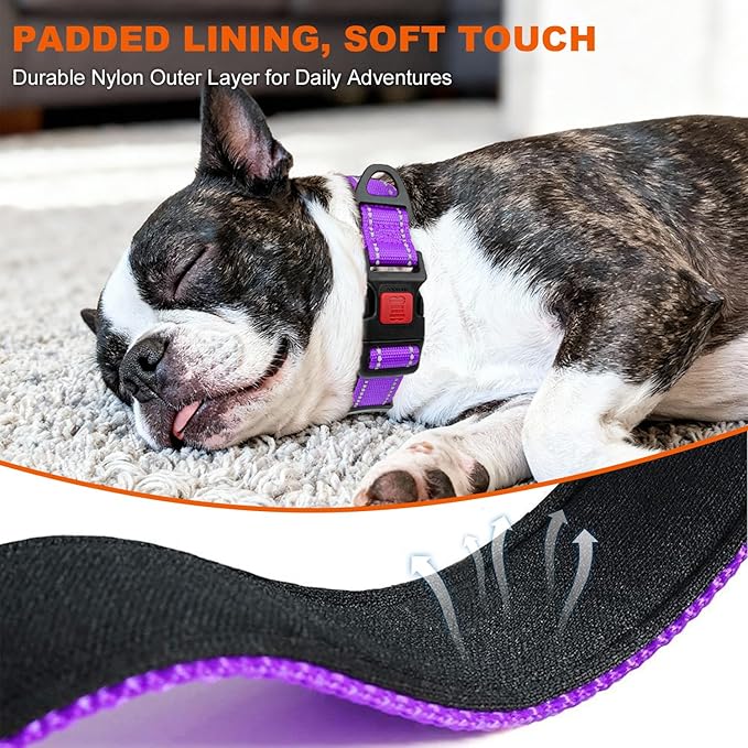 Taglory Reflective Dog Collar with Safety Locking Buckle, Soft Neoprene Padded Dog Collar for Medium Dogs, Metal D-Ring, Adjustable Nylon Neck Strap for Daily Walking, Training & Running, Purple, M