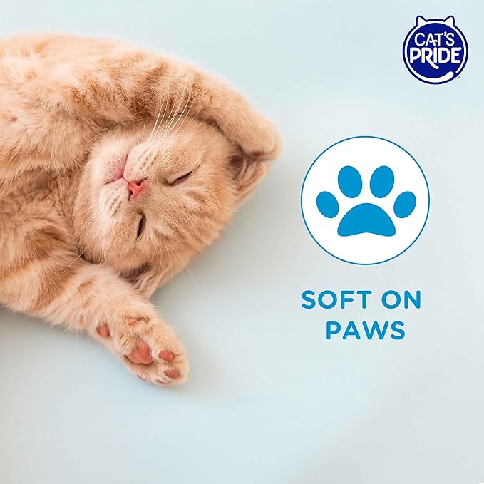 Cat’s Pride Micro Crystals Cat Litter, Non-Clumping, Unscented, 30-Day Odor Control, 99% Dust Free, Lightweight, Soft on Paws, 6.5lb Bag
