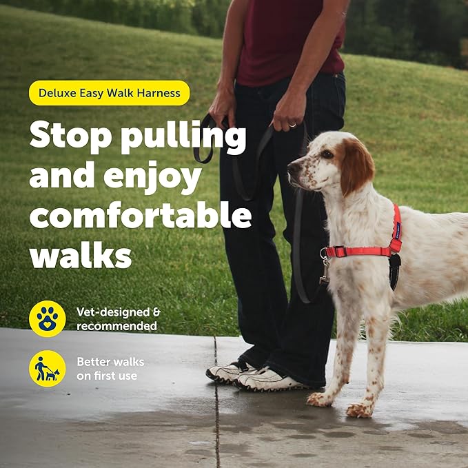 PetSafe Deluxe Easy Walk Harness - Trainer-Trusted Dog Chest Harness with Breathable Martingale Loop Design - Helps Stop Pulling with No Choking & Gagging - Medium - Rose