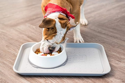 IRIS USA 4-Cup Slow Feeder Bowl, Anti-Choking & Anti-Slip Puzzle Dish for Healthy Digestion, Short Snout Dogs & Cats, BPA & PVC-Free, White/Gray