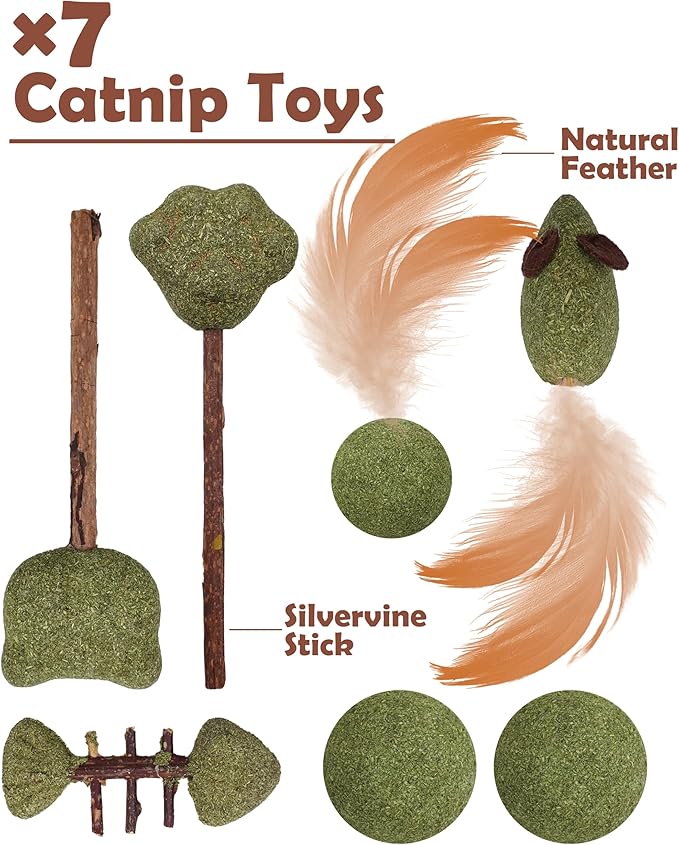 PET SHOW 12 Pack Catnip Toys for Indoor Cats Crinkle Toy Balls Natural Silvervine Sticks Interactive Catnip Fether Balls Cat Nip Mice&Fish Kitten Paw Lollipops Organic Chew Toys Kitty Teething Toy