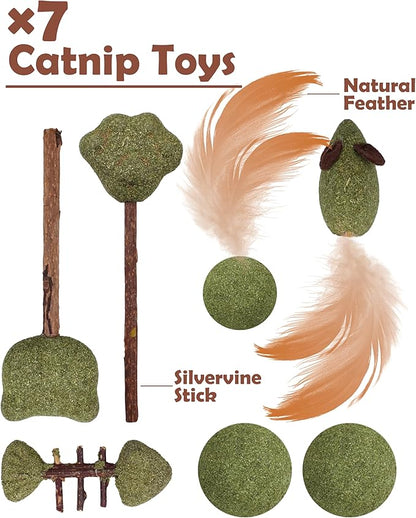 PET SHOW 12 Pack Catnip Toys for Indoor Cats Crinkle Toy Balls Natural Silvervine Sticks Interactive Catnip Fether Balls Cat Nip Mice&Fish Kitten Paw Lollipops Organic Chew Toys Kitty Teething Toy