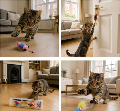 Interactive Cat Wand Toy with 4 Refills and Storage Box – Collapsible Cat Teaser Stick with Catnip Lure, Insect & Ribbon Attachments – Feather Cat Toys for Indoor Cats Enrichment