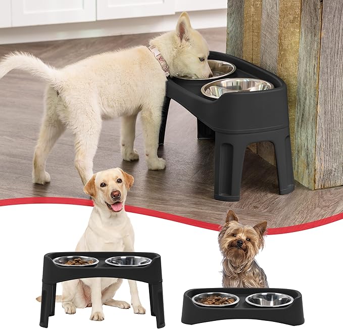 IRIS USA Adjustable Elevated Dog Bowls, Raised Feeder with 2 Stainless Steel 64 oz Bowls, Spill-Guard Rim, 12.25" or 4.63" Heights, Durable Plastic, Made in USA, Black