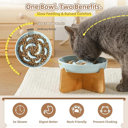Elevated Slow Feeder Cat Bowl - Ceramic Cat Food Dish with Anti-Slip Bamboo Stand - Whisker Friendly Feeding Bowl - Raised Maze Plate for Slow Down Eating - Ivory White