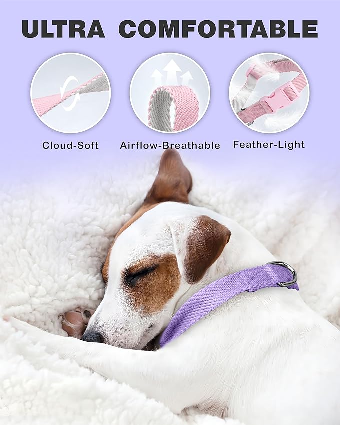 Dynmeow Soft and Breathable Cotton Dog Collar, Durable Adjustable Female Girl Pet Collar with Quick-Release Buckle, Lightweight for Sensitive Skin for Puppies and Extra-Small Dogs, Purple, Xs