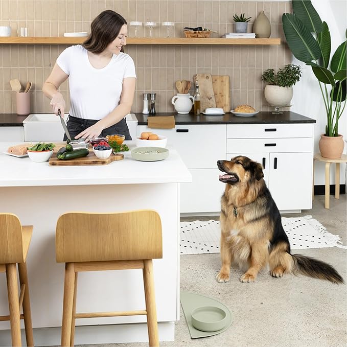 Should We Go? Dog Water Bowl - The Perfect Dish No-Spill, Less Mess Non-Tippable Water & Food Bowl, Pure Silicone with Suction Cup Fits 5 Cups 7.5" Across x 2.25" Tall, Ideal for All Pets, Medium-Sage