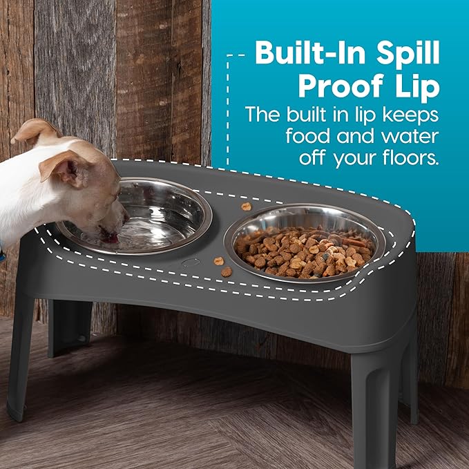 IRIS USA Adjustable Elevated Dog Bowls, Raised Feeder with 2 Stainless Steel 64 oz Bowls, Spill-Guard Rim, 12.25" or 4.63" Heights, Durable Plastic, Made in USA, Dark Gray