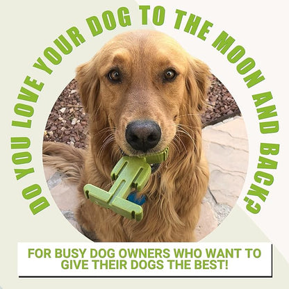 Bullibone Alien Bone: Chew Toy for Aggressive Chewers and Small Dogs (3 Pack)