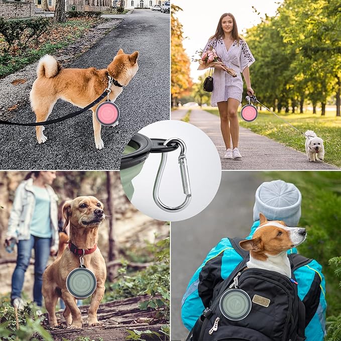 SLSON Collapsible Pet Feeder, 2 Pack Dog Bowls with Cover Lids, Portable Foldable Cat Water Dish Bowl for Pets, Small, Fairy Pink and Sprout Green