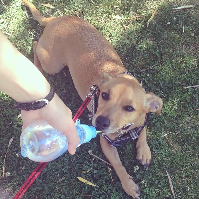Choco Nose Patented Portable No-Drip Travel Water Bottle/Feeder for Dogs/Puppies/Cats/Rabbits and Other Small Sized Animals -8 oz. Leak-proof Nozzle 16mm, Blue (H258)