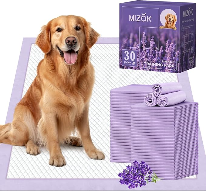 MIZOK Dog Pee Pads 36x36in, Extra Large Pee Pads for Dogs, Keeps Fresh & Clean, Ultra Absorbent Up to 11 Cups, 6 Layers Leak-Proof, Purple Lavender Color (30 Counts)