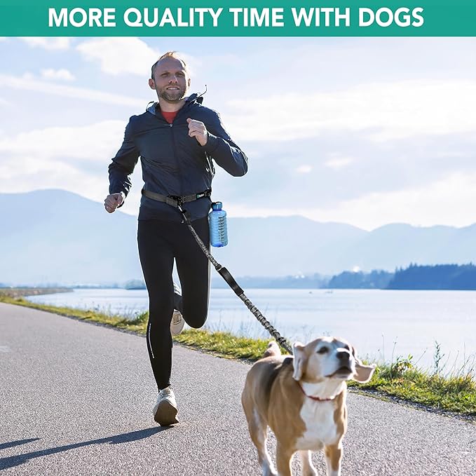 PetAmi Hands-Free Dog Leash for Walking, Running & Hiking, Heavy Duty Bungee Waist Leash with Dual Padded Handles, Adjustable Reflective Belt for Small, Medium & Large Dogs up to 150 lbs, Grey
