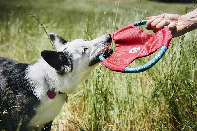 ZippyPaws Rope Gliderz - Durable Outdoor Dog Frisbee Toy, Soft Pet Flying Disc for Beach & Pool, Interactive Frisbee for Fetching, Made of Tough Mountain Climbing Rope - Magenta