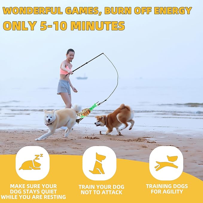 Flirt Pole Dogs, Dog Chase Toy with Squeakers Inside, Dog Fishing Pole Toy for Large Medium Small Dogs to Keep The Puppy Entertained and Physically Exhausted, Rope+Duck