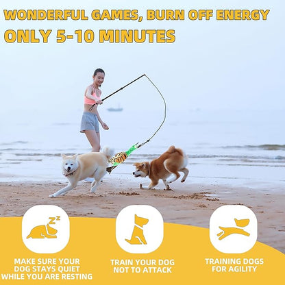 Flirt Pole Dogs, Dog Chase Toy with Squeakers Inside, Dog Fishing Pole Toy for Large Medium Small Dogs to Keep The Puppy Entertained and Physically Exhausted, Rope+Duck