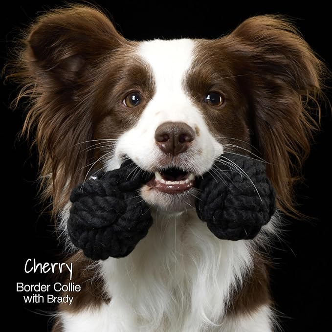 Brady The Rope Tug Toy 3-Pack Organic Cotton Dog Rope Pull Toys for All Pet Breeds, Halloween, One Size