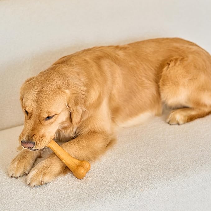 SPOT Bam-Bones Plus Dino Bone - Bamboo Fiber & Nylon, Durable Long Lasting Dog Chew for Aggressive Chewers – Great Toy for Dogs Under 90lbs, Non-Splintering, 7.25in Peanut Butter Flavor Allergen Free