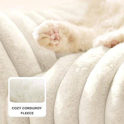 Bedsure Cute Cat Couch for Pets - Fluffy Cat beds with Premium Soft Corduroy Fleece, Fuzzy Cats beds for Indoor Cats with Removable Washable Cover, Supportive Pet Sofa, 24inch, Cream (Pack of 2)