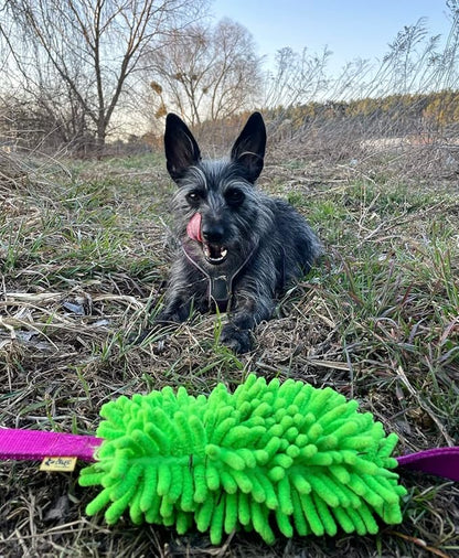Dingo Waldemar Rutkowski Shaggy Nubby Plush tug Toy for Dogs, Training and Agility, Chasing Games and tug of war, 2 Handles Assorted Color 15576
