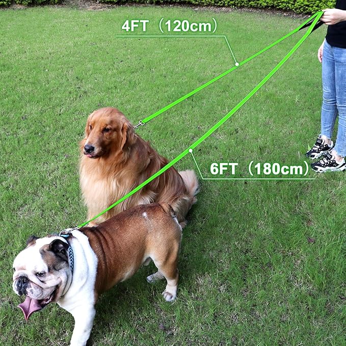 FunTags 4FT Reflective Dog Leash with Soft Padded Handle for Training,Walking Lead for Large & Medium Dog,1 Inch Wide,Green