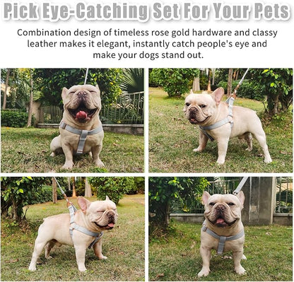 Soft Leather No Pull Dog Harness - Adjustable Step in Dog Harness with Rose Gold Heavy Duty Metal Buckle, Freedom Nylon Dog Halter Vests for Small Medium Large Dogs Easy Walking Training XS, Grey