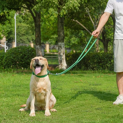 Waterproof Dog Leash with Poop Bag Holder, 5FT/6FT Adjustable Length with 2 Swivel Hooks, Odor-Free & Easy-Clean Dog Lead for Large Medium Small Dogs