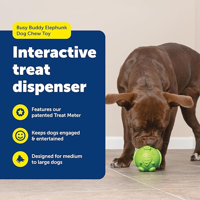 PetSafe Busy Buddy Elephunk Dog Chew Toy - Treat Dispenser - Medium/Large