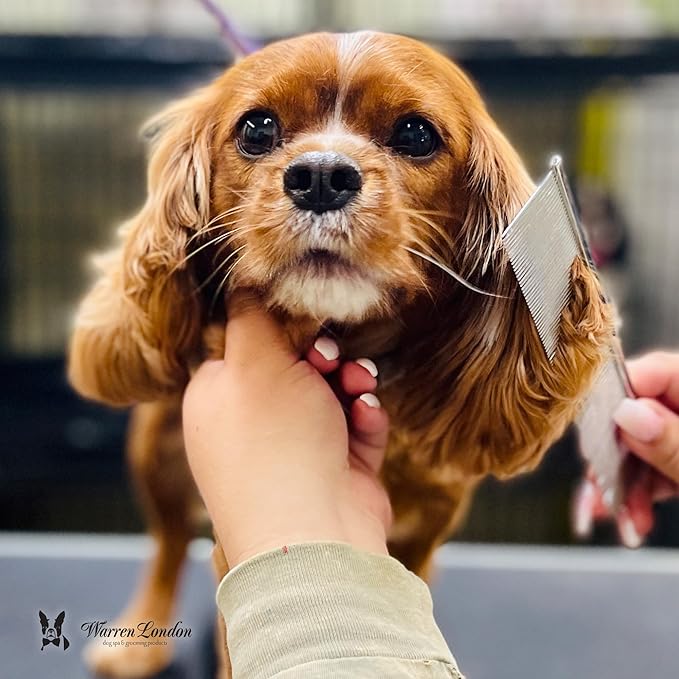 Warren London Copper Greyhound Style Everyday Dog Comb – 7.5" Professional Grooming Comb with Rounded Pins, Fine & Coarse Teeth, Smooth Glide Detangling & Coat Finishing Comb