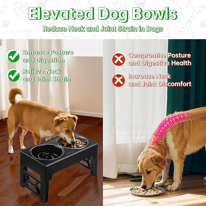 EliteField Elevated Dog Bowls (2-Year Warranty), Two 58 oz Stainless Steel Food Bowls, 5 Adjustable Raised Heights (4", 9.5", 10.5", 11.5", 12.75") Suitable for Dogs of All Ages, Small to Large Sizes