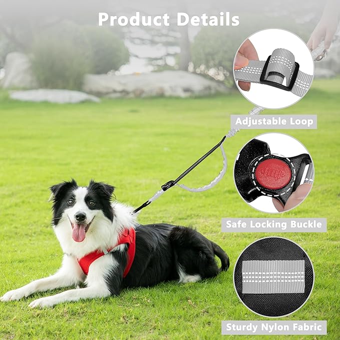 Hands Free Dog Leash with Zipper Pouch, Running Waist Leash for Dog Walking, Adjustable Waist Belt for Large Dogs, Reflective Bungee Design with Two Handle for Hiking, Training, Grey