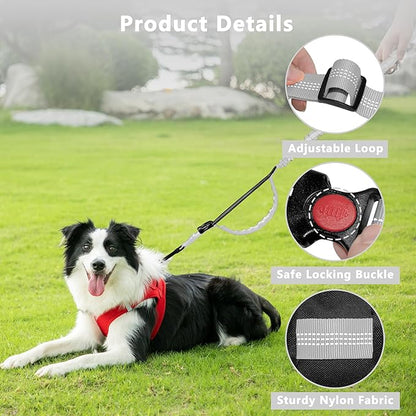 Hands Free Dog Leash with Zipper Pouch, Running Waist Leash for Dog Walking, Adjustable Waist Belt for Large Dogs, Reflective Bungee Design with Two Handle for Hiking, Training, Grey