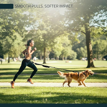 FITLY Dog Running Waist Belt - Dual-Point Force Distribution System - Hands-On-Hips Canicross Harness for Running, Walks, Hikes - Convertible Design with Storage Pouch & Bungee Damper - Nifty Black