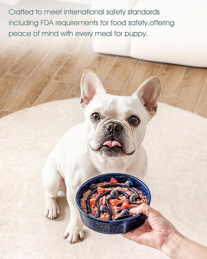 vancasso Slow Feeder Dog Bowl, 0.6 Cup Ceramic Slow Feeding Food Dish for Small Breed, Puzzle Dog Food Bowl for Fast Eater, Blue
