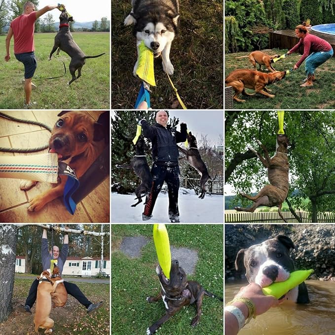Dog Bite Tug Toy 12 inches - Durable, Interactive Toys for Medium to Large Dogs - Perfect for Tug of War, Fetch & Puppy Training - Safe Fire Hose Dog Tug with Strong Handle - Tough Floating Pull Toy