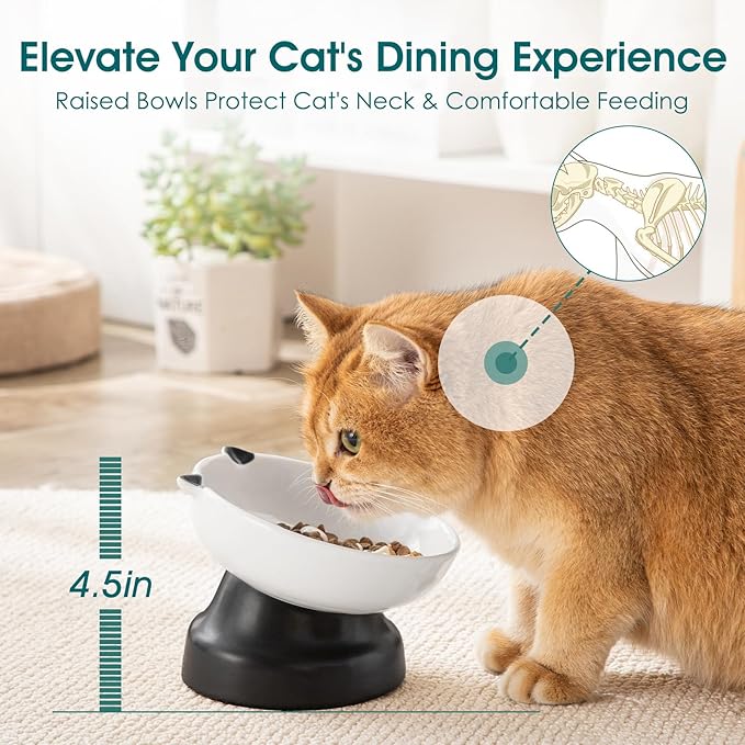 vancasso Slow Feeder Cat Bowls, Ceramic Elevated Slow Feeder Cat Bowls, Raised Food Bowl for Wet Food (Black)