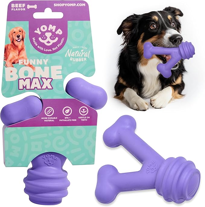 Yomp FunnyBone MAX: All-Natural Rubber Dog Toy, Nontoxic, Safe for Pet Play (Purple)