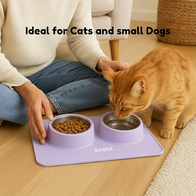 BoldPet® Dog Food and Water Bowl Set - Food Grade,Non-Slip Design Silicone Mat - Includes 2 Removable Stainless Steel Dog Bowls for Small Dogs - Perfect Puppy Bowls Set - Pet Bowls for Dogs and Cats