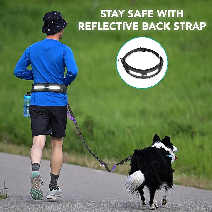 PetAmi Heavy Duty Hands Free Dog Leash, Adjustable Waist Belt for Large Dog Walking Up to 125 lbs, Bungee Leash for Pet Running, Hiking, Reflective Safety for Jogging, Biking, Purple Handle