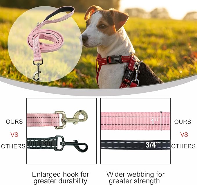 Dual Padded Handle Walking And Training Standard Leashes For Large Dogs With Reflective Stitching, 360° Rotatable Heavy Duty Metal Buckle,D-Ring,Durable Nylon,6Ft Long For Big Dogs Over 70 Pounds Pink