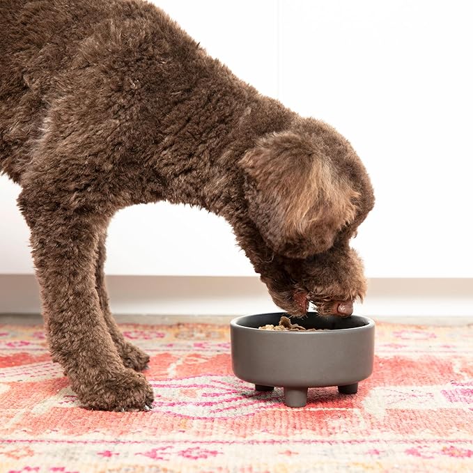 Waggo Uplift Ceramic Dog Bowl for Small Medium and Large Breeds - Heavyweight and Durable Pet Food and Water Dish Crock, Dishwasher Safe, Modern, Elevated Feeder (Speckle, Medium)