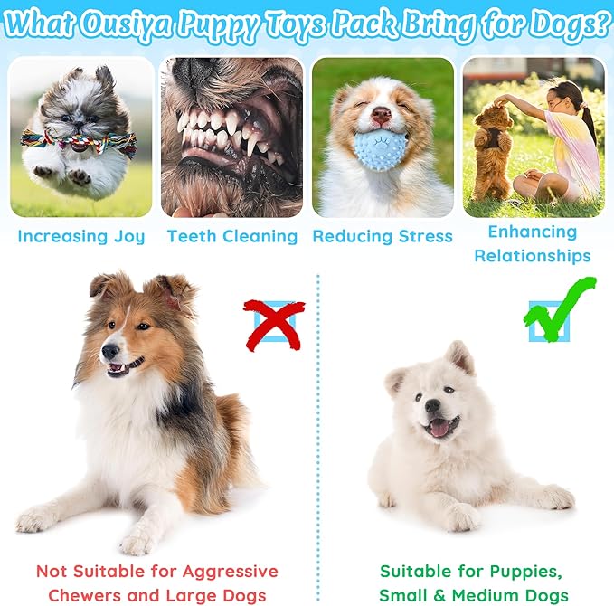 12 Pack Puppy Teething Toys Set - Small Breed Chew Toys with Storage Case, Suitable for Puppies 8 Weeks