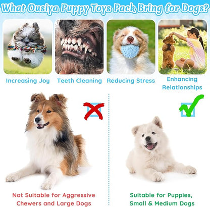 12 Pack Puppy Teething Toys Set - Small Breed Chew Toys with Storage Case, Suitable for Puppies 8 Weeks
