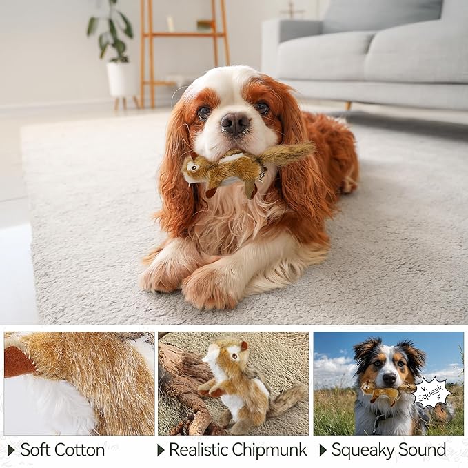 ALL FOR PAWS Squirrel Squeaky Doy Toy, Squirrel Dog Toy for Small Medium Breed, Puppy Fetch Toy with Squeaker, Plush Chew Dog Toy, 5.9 x 4.3 x 2.8 inches, Classic-Chipmunk S