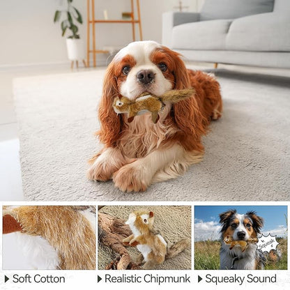 ALL FOR PAWS Squirrel Squeaky Doy Toy, Squirrel Dog Toy for Small Medium Breed, Puppy Fetch Toy with Squeaker, Plush Chew Dog Toy, 5.9 x 4.3 x 2.8 inches, Classic-Chipmunk S