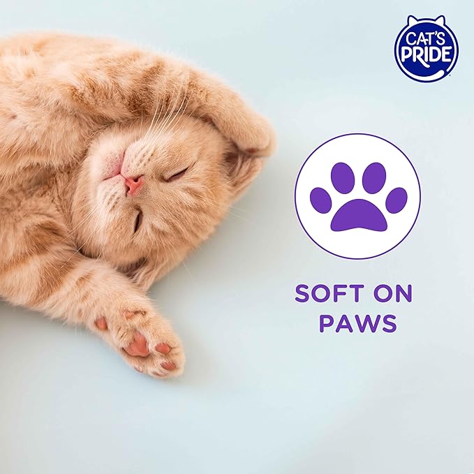 Cat’s Pride Micro Crystals Cat Litter, Non-Clumping, Scented, 30-Day Odor Control, 99% Dust Free, Lightweight, Soft on Paws, 6.5lb Bag (Pack of 2)