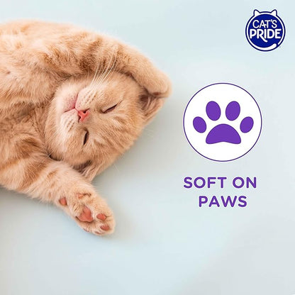 Cat’s Pride Micro Crystals Cat Litter, Non-Clumping, Scented, 30-Day Odor Control, 99% Dust Free, Lightweight, Soft on Paws, 6.5lb Bag (Pack of 2)