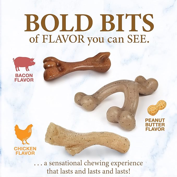 Nylabone Gourmet Style Femur, Wishbone, & Stick Strong Chew Toy for Puppies, Bacon, Chicken & Peanut Butter Flavor, Small - Up to 25 Ibs, 3 Pack
