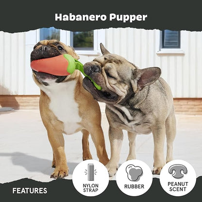 Barkbox Habanero Pupper Dog Toy for Medium Dogs Built for Aggressive Chewers, Who Love Tugging, Tossing and Thrashing Fun